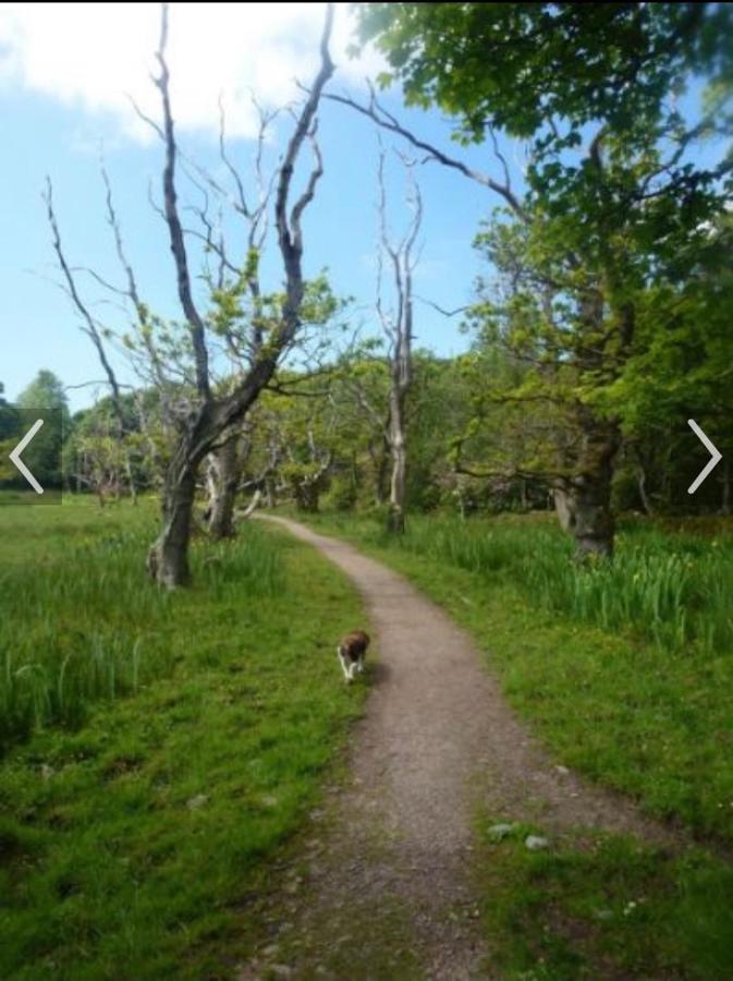 Happydays Caravan 1 Newton Stewart Whithorn 外观 照片