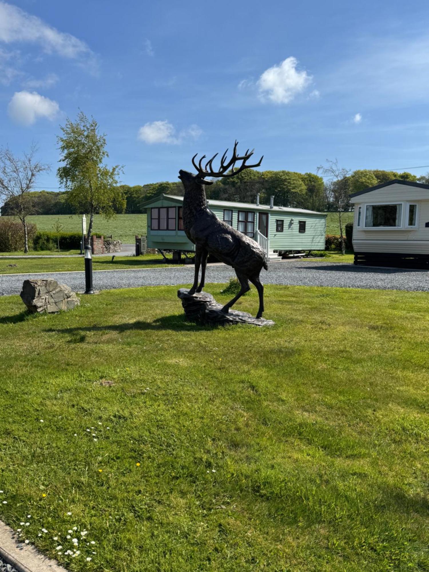 Happydays Caravan 1 Newton Stewart Whithorn 外观 照片